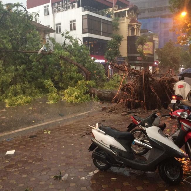 mưa dông, gió giật, Hà Nội mưa dông, gió giật, Hà Nội