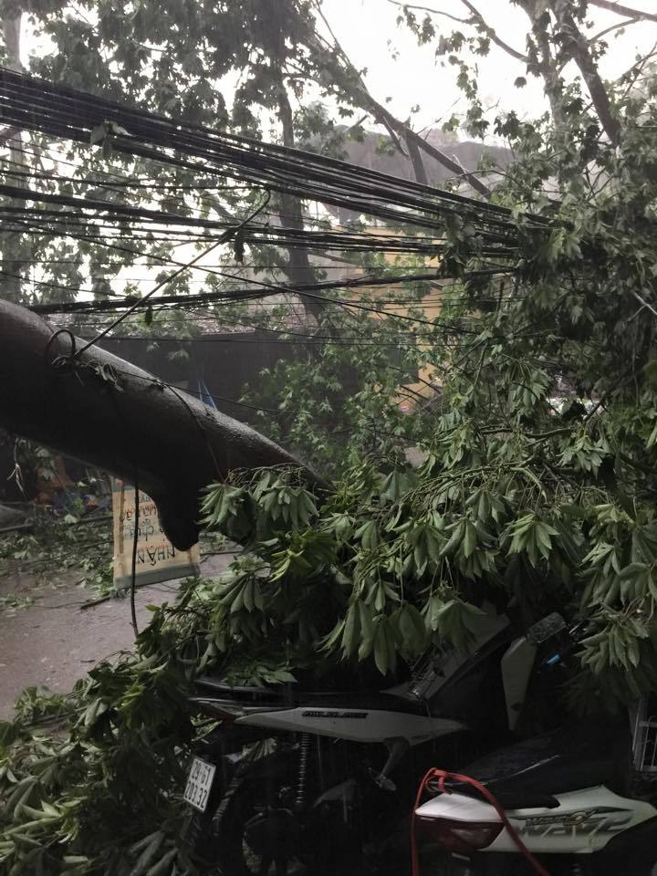 mưa dông, gió giật, Hà Nội mưa dông, gió giật, Hà Nội