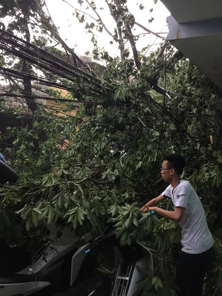 mưa dông, gió giật, Hà Nội mưa dông, gió giật, Hà Nội