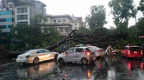 mưa dông, gió giật, Hà Nội mưa dông, gió giật, Hà Nội