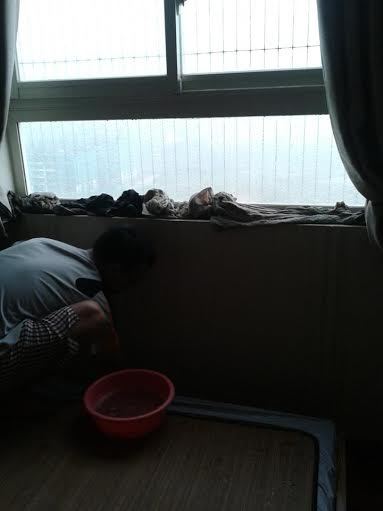 mưa dông, gió giật, Hà Nội mưa dông, gió giật, Hà Nội