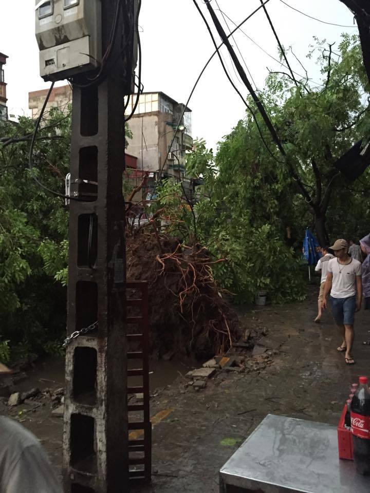 mưa dông, gió giật, Hà Nội mưa dông, gió giật, Hà Nội