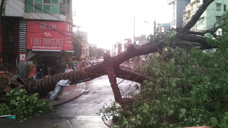 mưa dông, gió giật, Hà Nội mưa dông, gió giật, Hà Nội