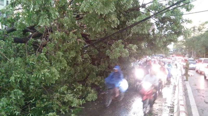 mưa dông, gió giật, Hà Nội mưa dông, gió giật, Hà Nội