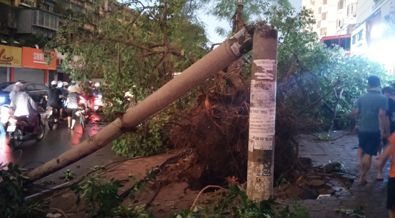 mưa dông, gió giật, Hà Nội mưa dông, gió giật, Hà Nội