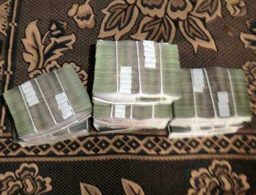 đại-gia, cây-cảnh, ngả-mũ, Thanh-Hóa, thú-chơi, chơi-ngông, siêu-giàu, tỷ-phú,