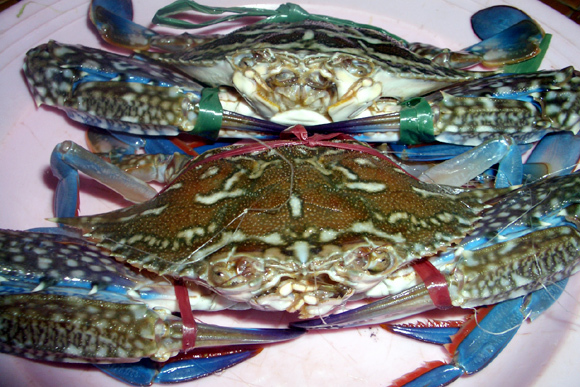 đi-chợ-hộ, đồ-quê, hải-sản, giò-chả, buôn-bán, kinh-doanh, dân-công-sở đi-chợ-hộ, đồ-quê, hải-sản, giò-chả, buôn-bán, kinh-doanh, dân-công-sở