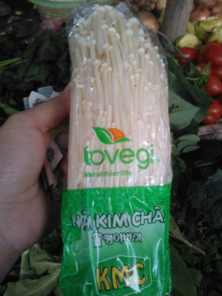 Nấm kim châm, hạn sử dụng, chợ đầu mối, nấm, ung thư, Hàn Quốc