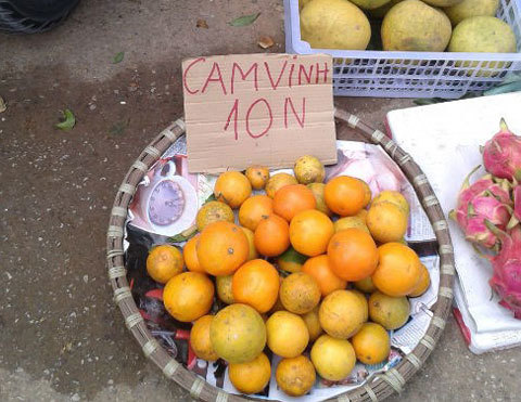 cam-canh, cam-trung-quốc, cam-vinh, chọn-cam-ngon, cam-ngon, thực-phẩm cam-canh, cam-trung-quốc, cam-vinh, chọn-cam-ngon, cam-ngon, thực-phẩm