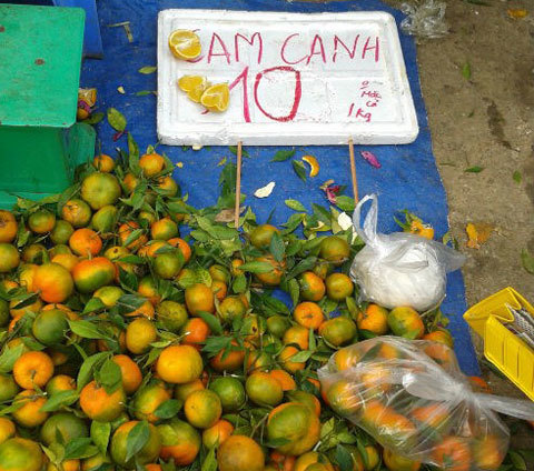 cam-canh, cam-trung-quốc, cam-vinh, chọn-cam-ngon, cam-ngon, thực-phẩm cam-canh, cam-trung-quốc, cam-vinh, chọn-cam-ngon, cam-ngon, thực-phẩm