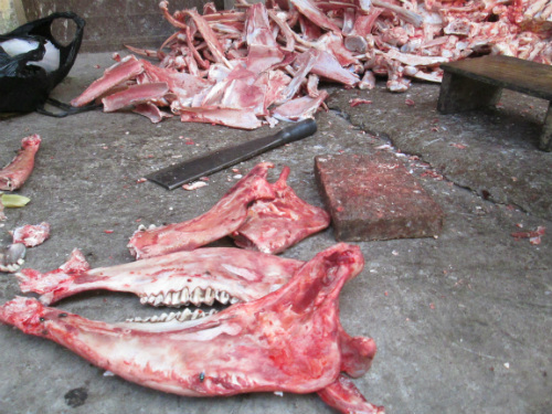 bánh-phở, chất-tẩy-trắng, gia-vị-Trung-Quốc, độc-hại, nhiễm-phóc-môn, phở-bò, phở-lợn-sề, Chi-cục-Vệ-sinh, chất-cấm, chất-màu-huỳnh-quang, tinopal, axít-oxalic, dư-luận, thịt-ôi-thiu