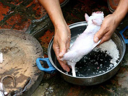 thịt chuột, chuột cống, đặc sản, công nghệ, phù phép, thịt bẩn, thực phẩm,  Luật An toàn thực phẩm