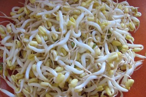 hóa chất, nhiễm độc, rau muống, su su, hoa quả, chất kích thích, phun thuốc, giá đỗ