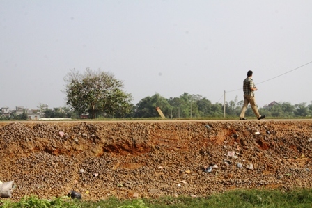 ốc bươu vàng, Cấn Hữu, Quốc Oai, thương lái, Trung Quốc, ô nhiễm, nông dân