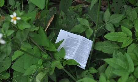 thi tốt nghiệp, đại học, thi cử, tuyển sinh, cải cách