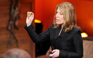 Theo đuổi tri thức, Deborah L. Rhode, Đại học Stanford, tri thức hàn lâm, tri thức đại chúng, giáo dục đại học