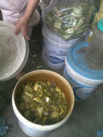 dưa, thùng sơn, thực phẩm, chợ, cà muối