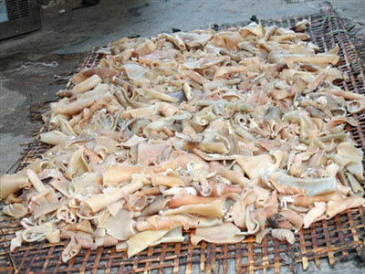 tẩy trắng, thực phẩm bẩn