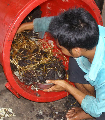 thịt thối, nhậu, bẩn