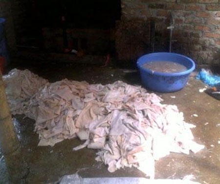 thịt thối, thịt ôi, bóng, bì, nem, chả, lạp xưởng